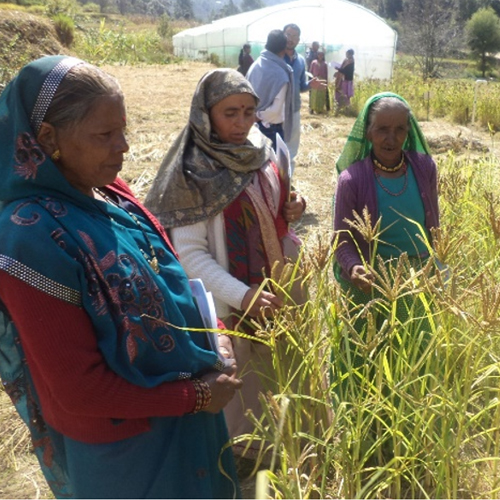 CENTRE FOR ENVIRONMENT AND REGIONAL DEVELOPMENT (CERD)